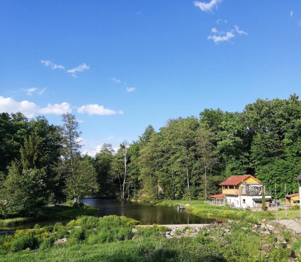 Ferienwohnung Und Sommerhaus Unter Der Burg Falkenberg  외부 사진