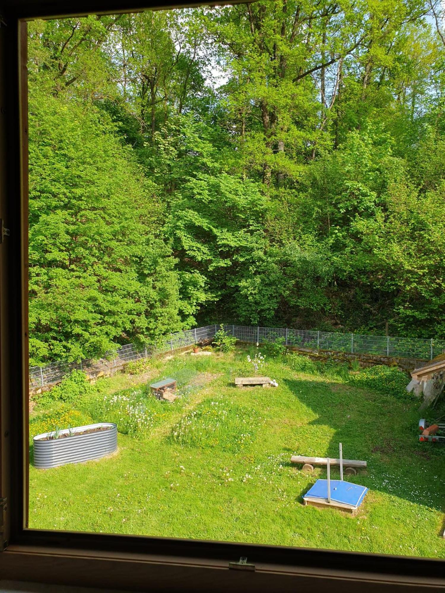 Ferienwohnung Und Sommerhaus Unter Der Burg Falkenberg  외부 사진